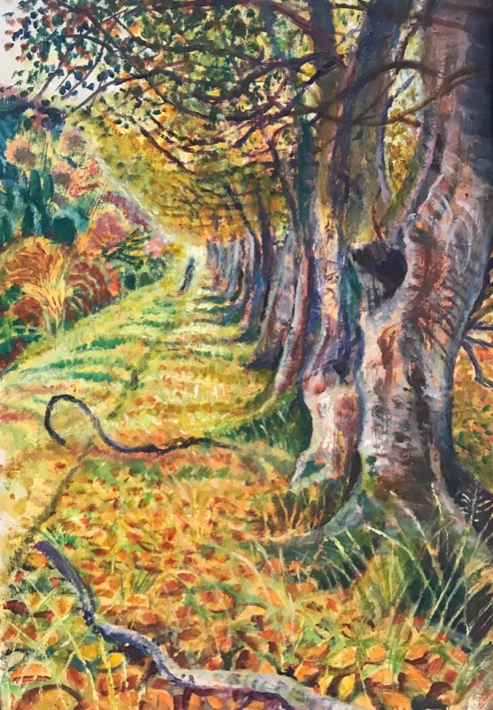 Beech Tree Path