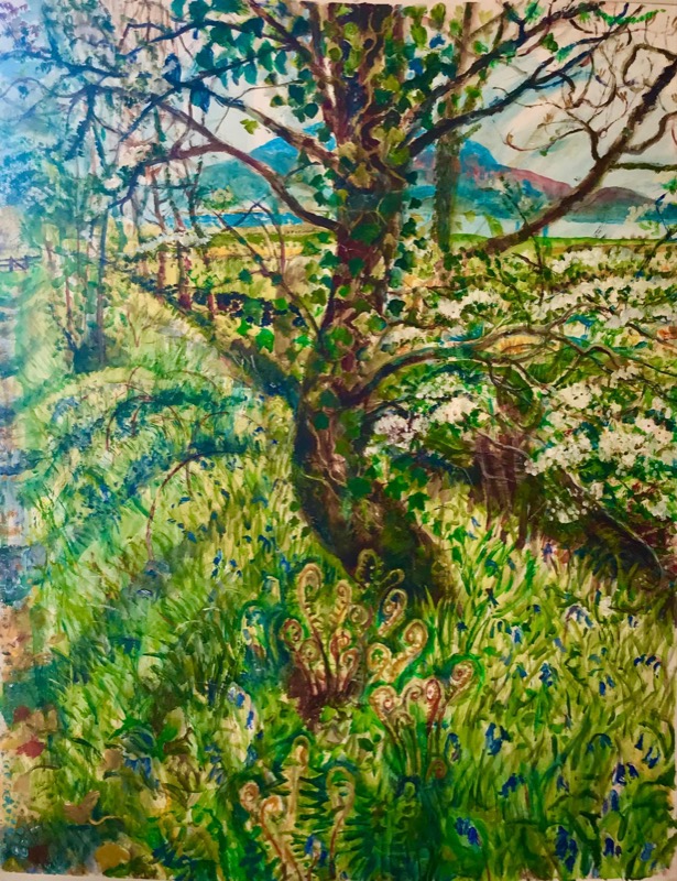 Bluebell Path