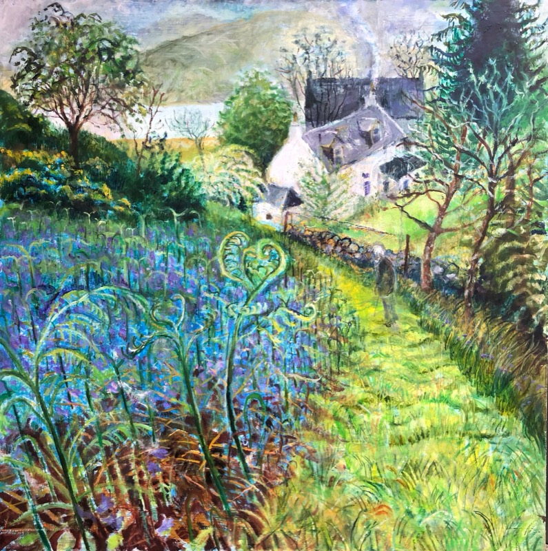 Bluebells in Kirkton
