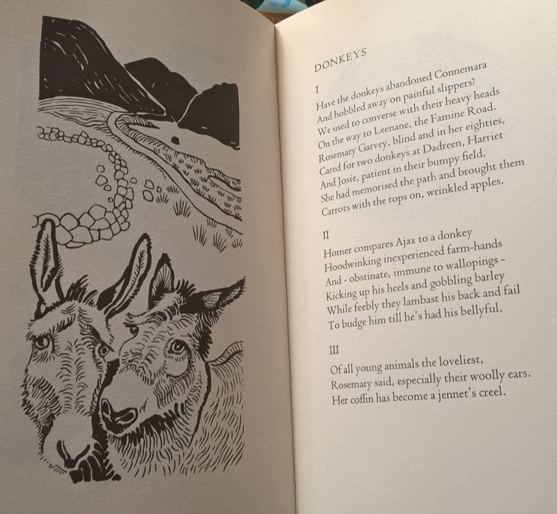Donkeys, in Sea Asters, published by Andrew J Moorhouse