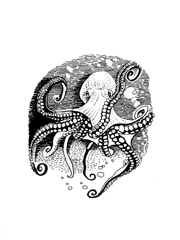 Homer's Octopus