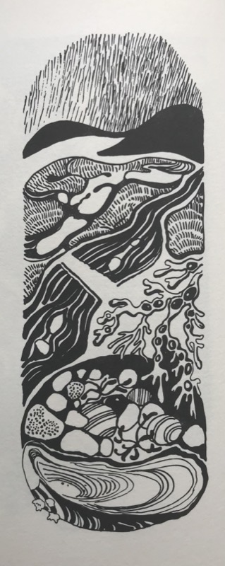 Inlet for Kathleen Jamie