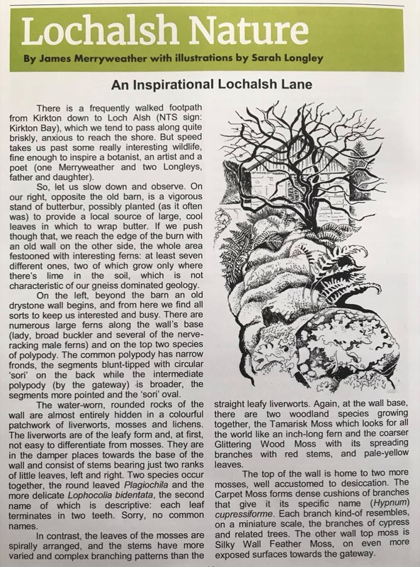 Lochalsh Nature, 'An Inspirational Lochalsh Lane' by James Merryweather