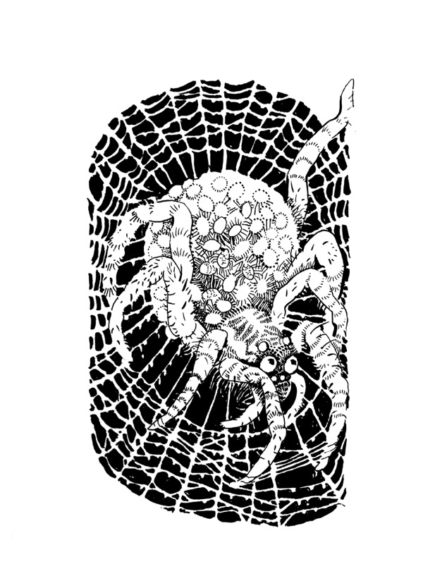 Spiderwoman