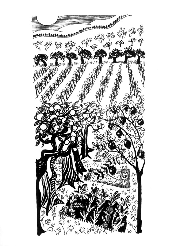 The Garden
