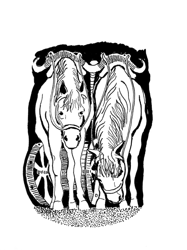 The Horses