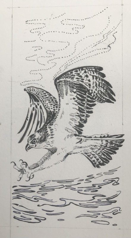 The Osprey